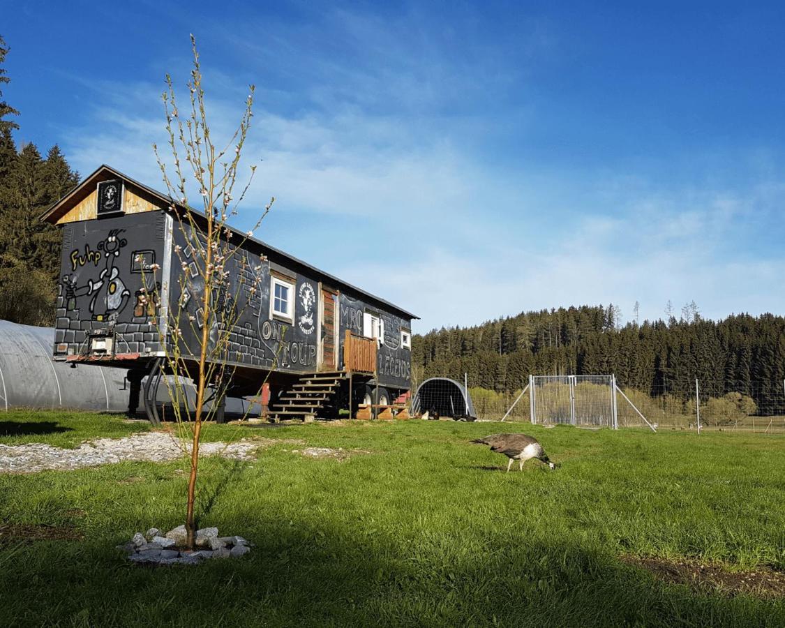 Living Legends - Tiny House Auf Den Wiesen Der Edermuehle Hotel Grosspertholz ภายนอก รูปภาพ